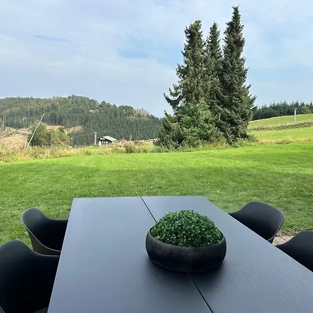 Romantikchalet Neuastenberg/winterberg *