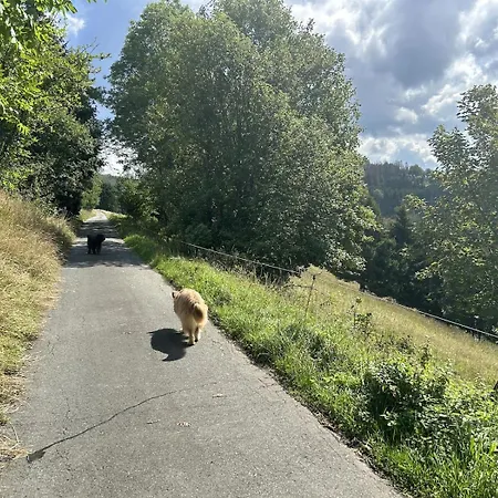 Romantikchalet Neuastenberg/winterberg Дом отдыха Винтерберг