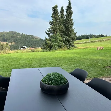 Romantikchalet Neuastenberg/winterberg * Винтерберг