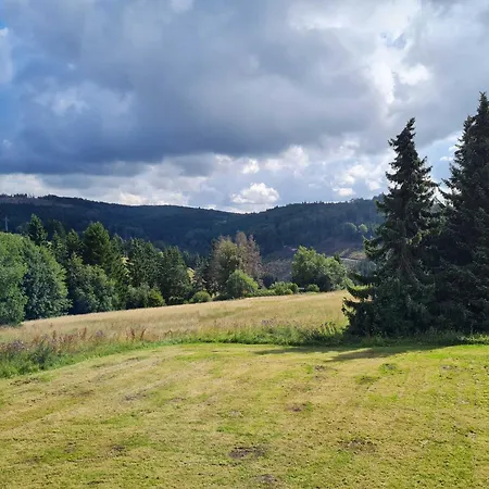 Romantikchalet Neuastenberg/winterberg Винтерберг