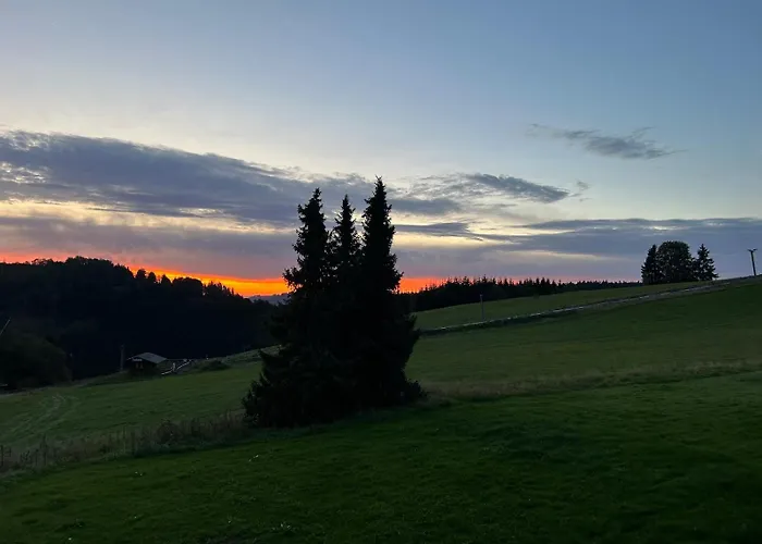 Romantikchalet Neuastenberg/winterberg Winterberg