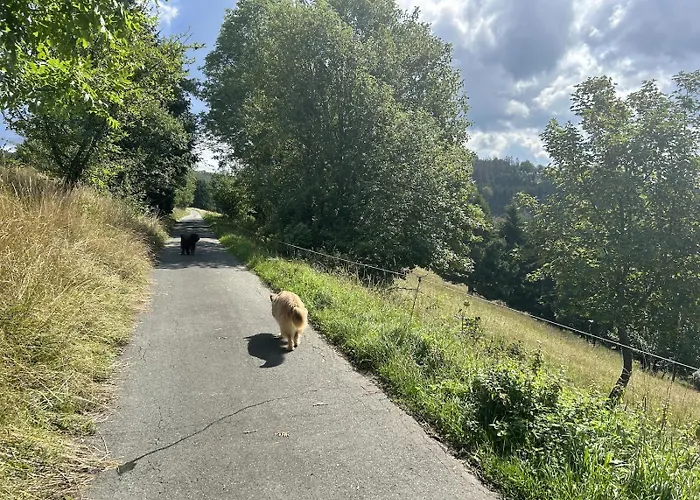 Romantikchalet Neuastenberg/winterberg 펜션 빈터베르크