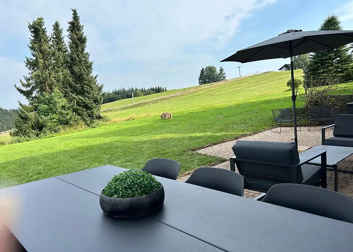 Romantikchalet Neuastenberg/winterberg